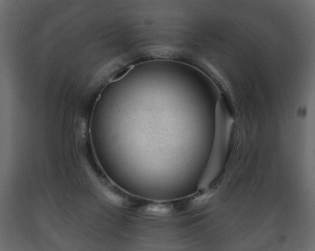 X0000089910117200707061007