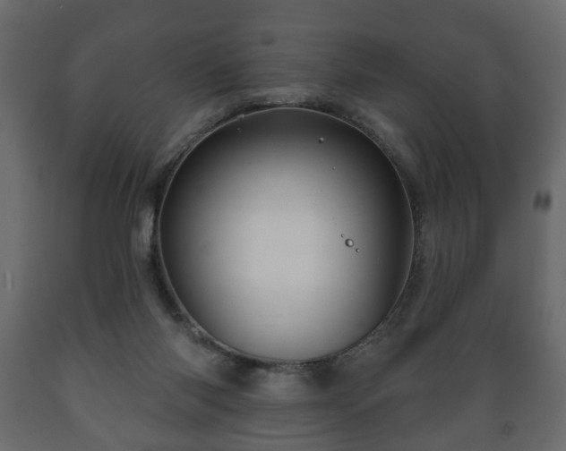 X0000089910118200707061007