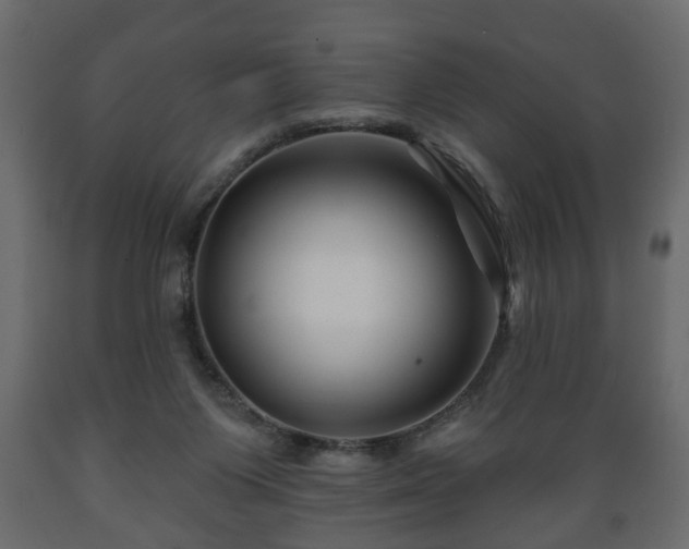 X0000089910119200707061007