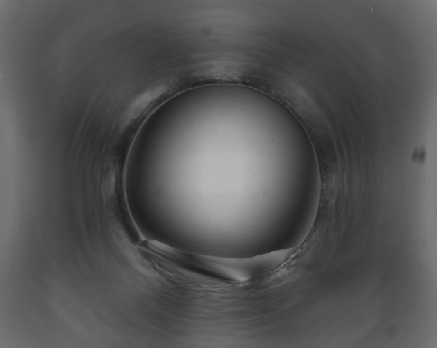 X0000089910120200707061007