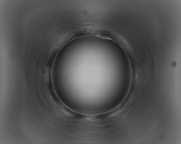 X0000089910121200707061007