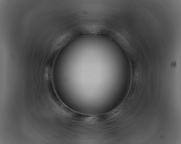 X0000089910122200707061007