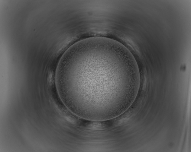 X0000089910123200707061007