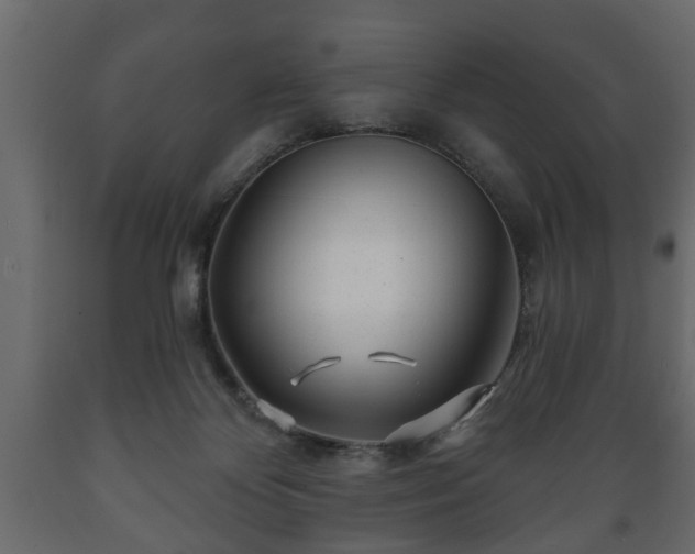 X0000089910124200707061007