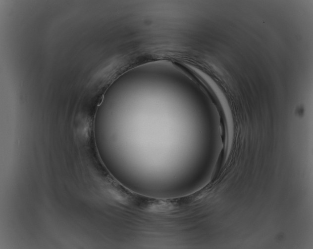 X0000089910125200707061007