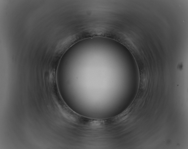 X0000089910126200707061007