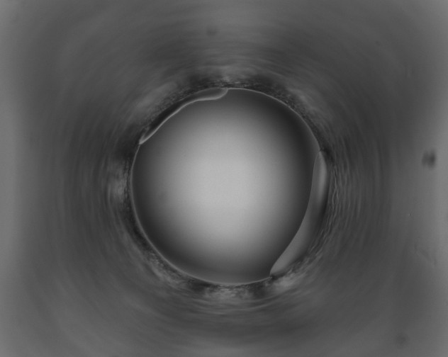 X0000089910129200707061007