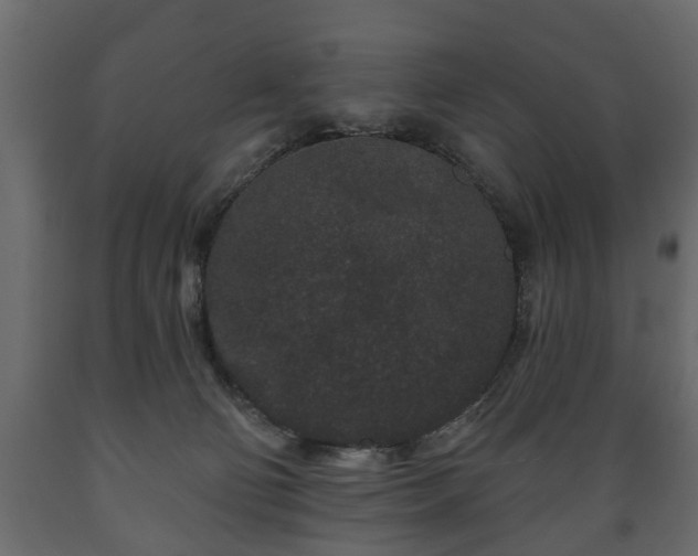 X0000089910130200707061007
