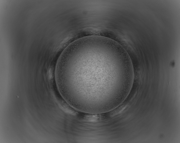 X0000089910131200707061007