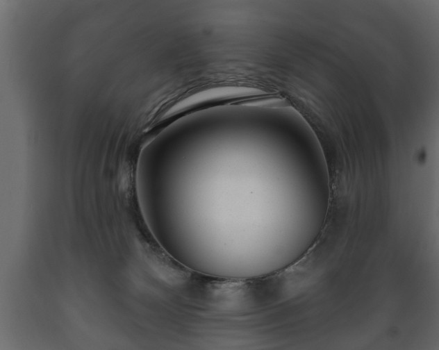 X0000089910132200707061007