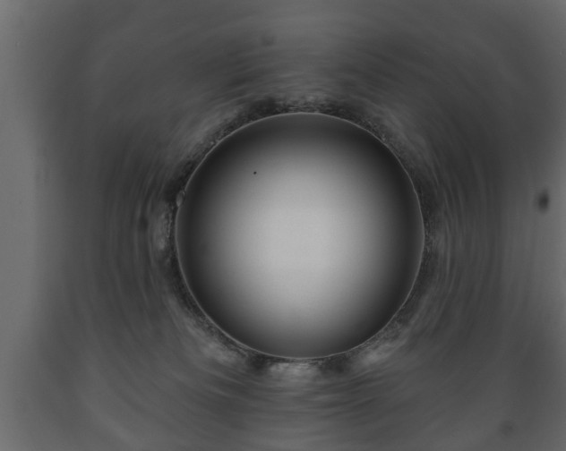 X0000089910133200707061007