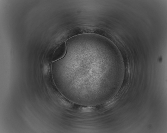 X0000089910134200707061007