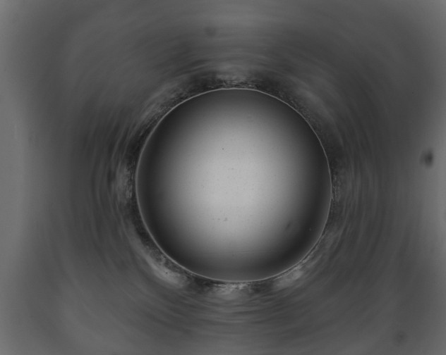 X0000089910136200707061007