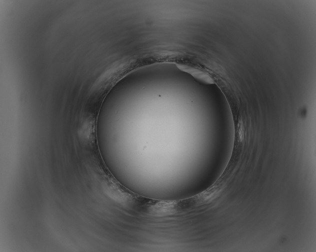 X0000089910138200707061006