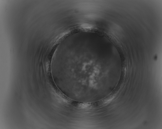 X0000089910139200707061006