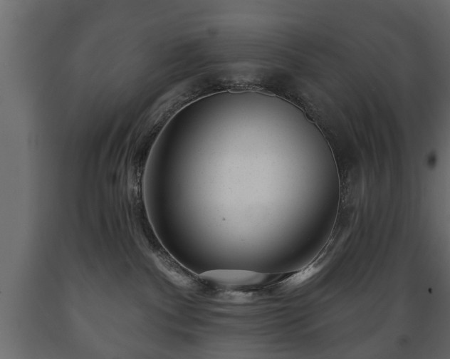 X0000089910140200707061006