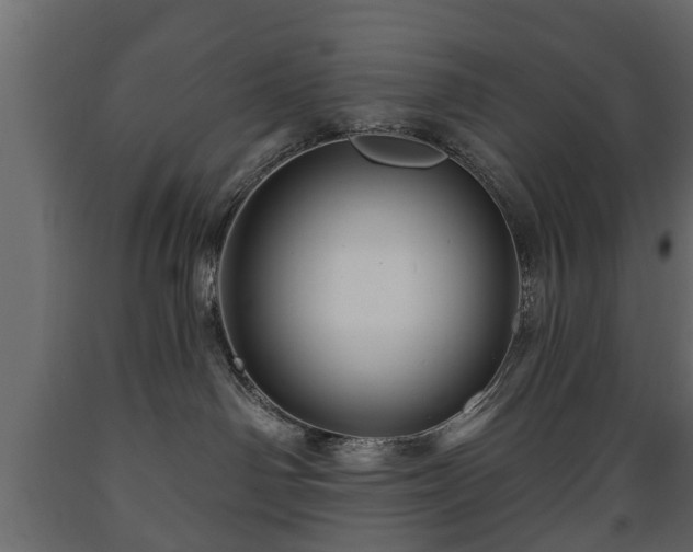 X0000089910142200707061006