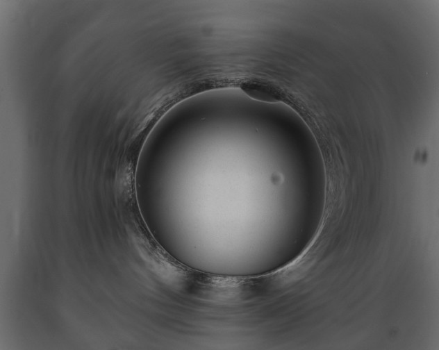 X0000089910144200707061006