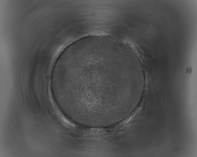 X0000089910145200707061006