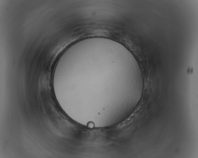 X0000089910146200707061006