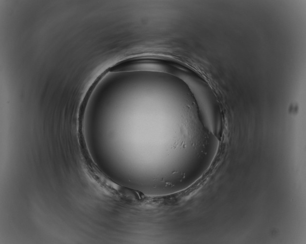 X0000089910148200707061006