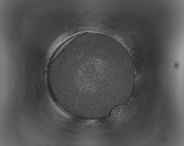 X0000089910151200707061006
