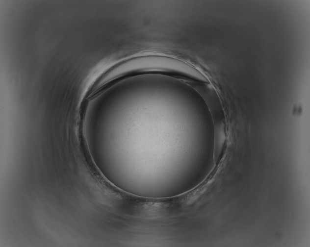 X0000089910152200707061006