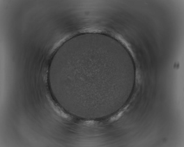 X0000089910153200707061006
