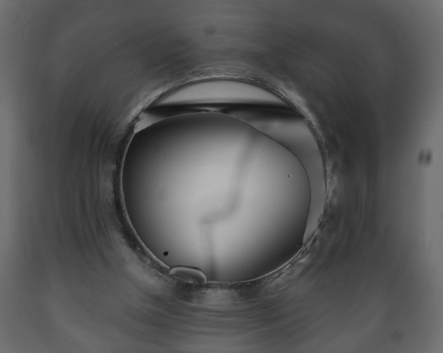 X0000089910154200707061006
