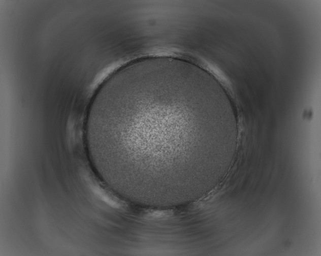 X0000089910155200707061006