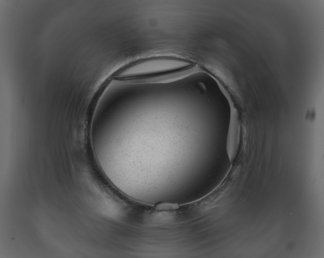 X0000089910156200707061006