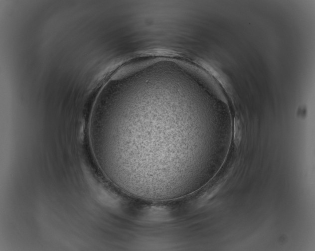 X0000089910157200707061006