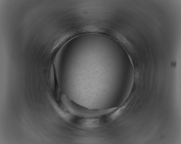 X0000089910158200707061006
