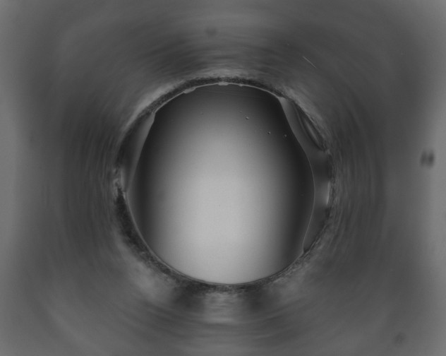 X0000089910160200707061006