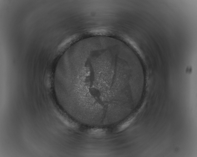 X0000089910161200707061006