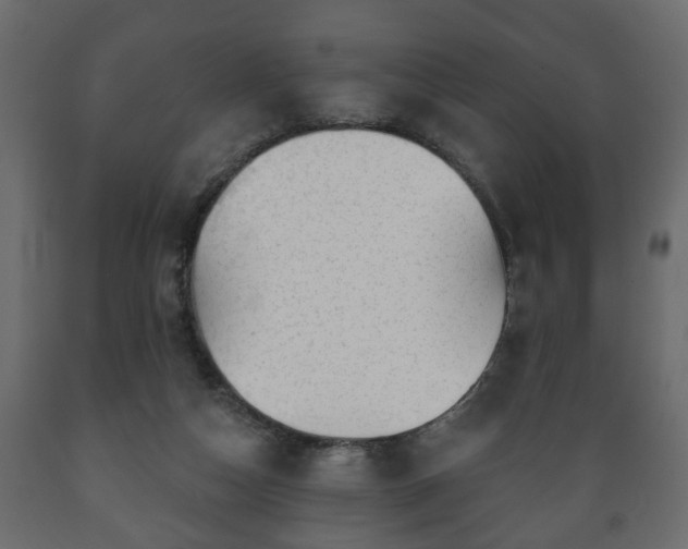 X0000089910162200707061006