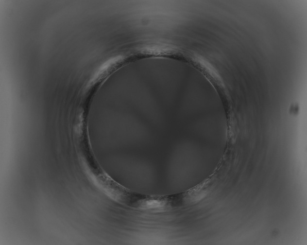 X0000089910163200707061006