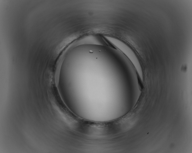X0000089910164200707061006