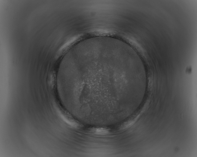 X0000089910165200707061006