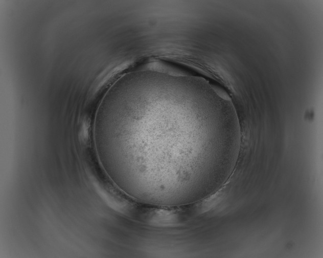 X0000089910166200707061006