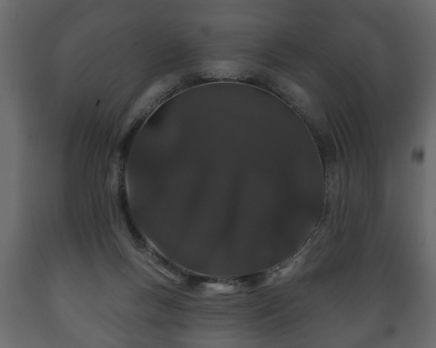 X0000089910167200707061006