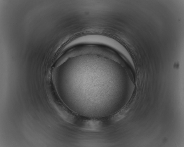 X0000089910168200707061006