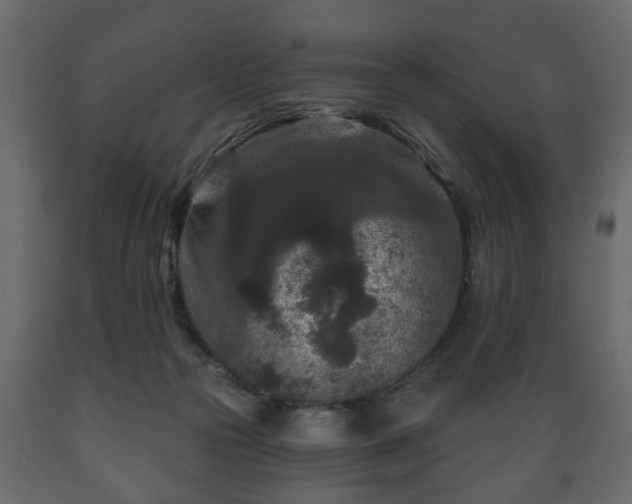 X0000089910169200707061006