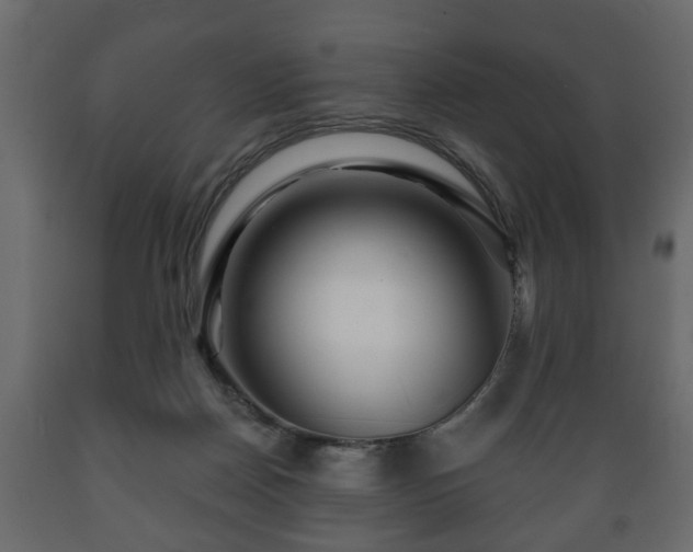 X0000089910170200707061006
