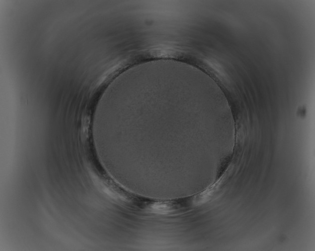 X0000089910171200707061006