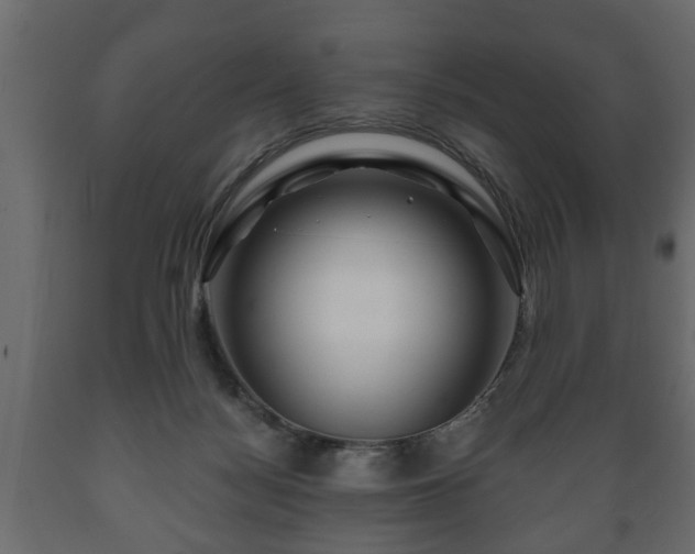 X0000089910172200707061006