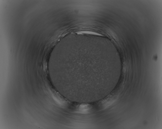 X0000089910173200707061006