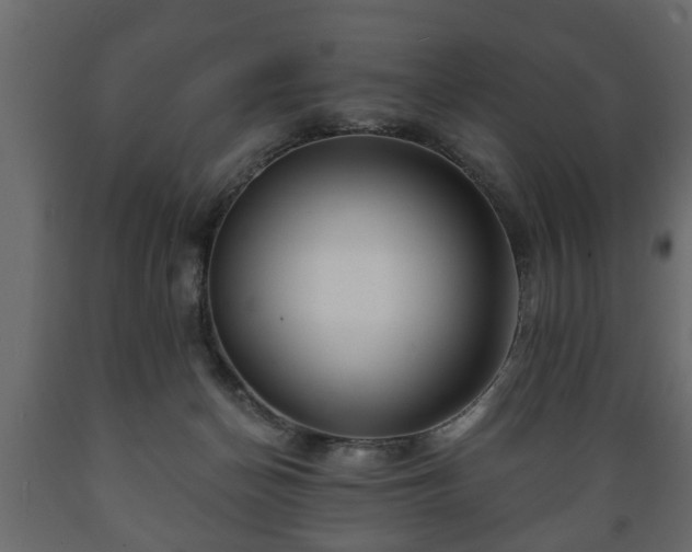 X0000089910174200707061006