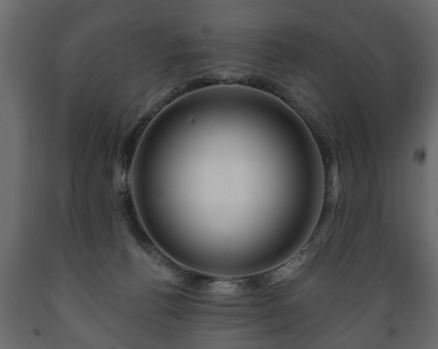 X0000089910176200707061006