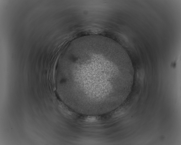 X0000089910177200707061006